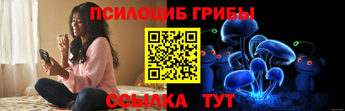 Псилоцибиновые грибы Magic Shrooms  наркота  Лениногорск  Вход с VPN 