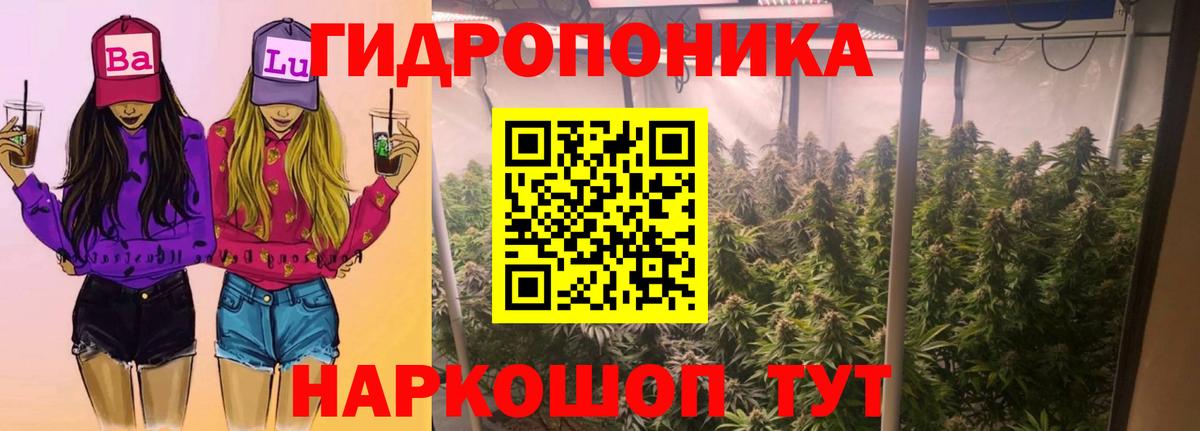 Каннабис ГИДРОПОН Лениногорск
